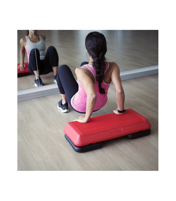 MINISTEP PROFESIONAL