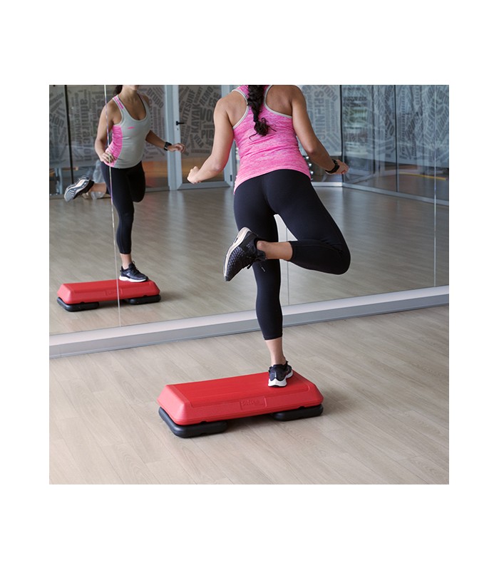 MINISTEP PROFESIONAL