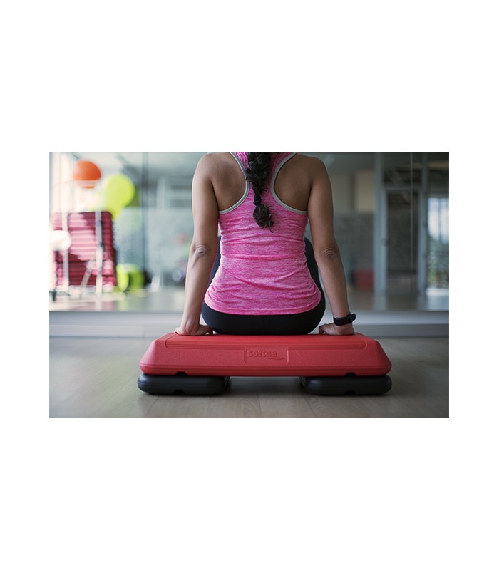 MINISTEP PROFESIONAL