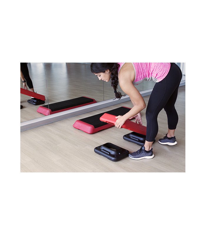 MINISTEP PROFESIONAL